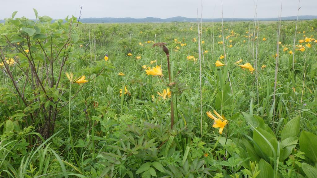 Kiritappuri Guest House Hokkaido ภายนอก รูปภาพ